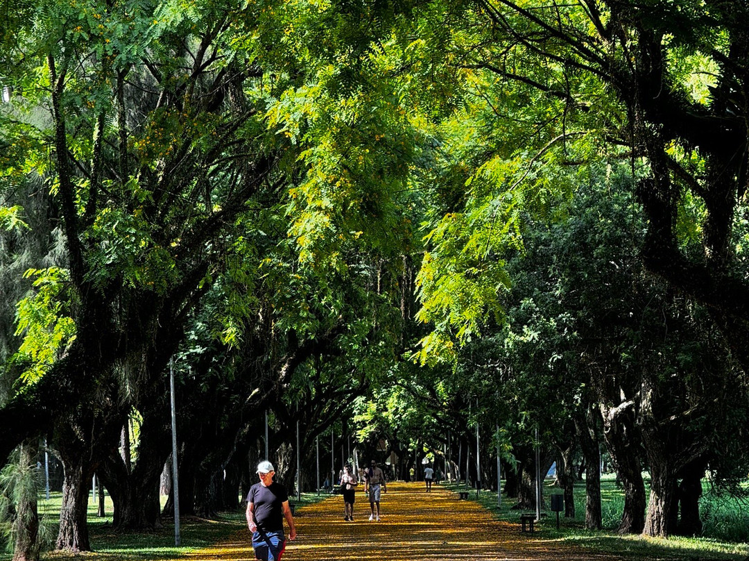 Marinha do Brasil park景点图片