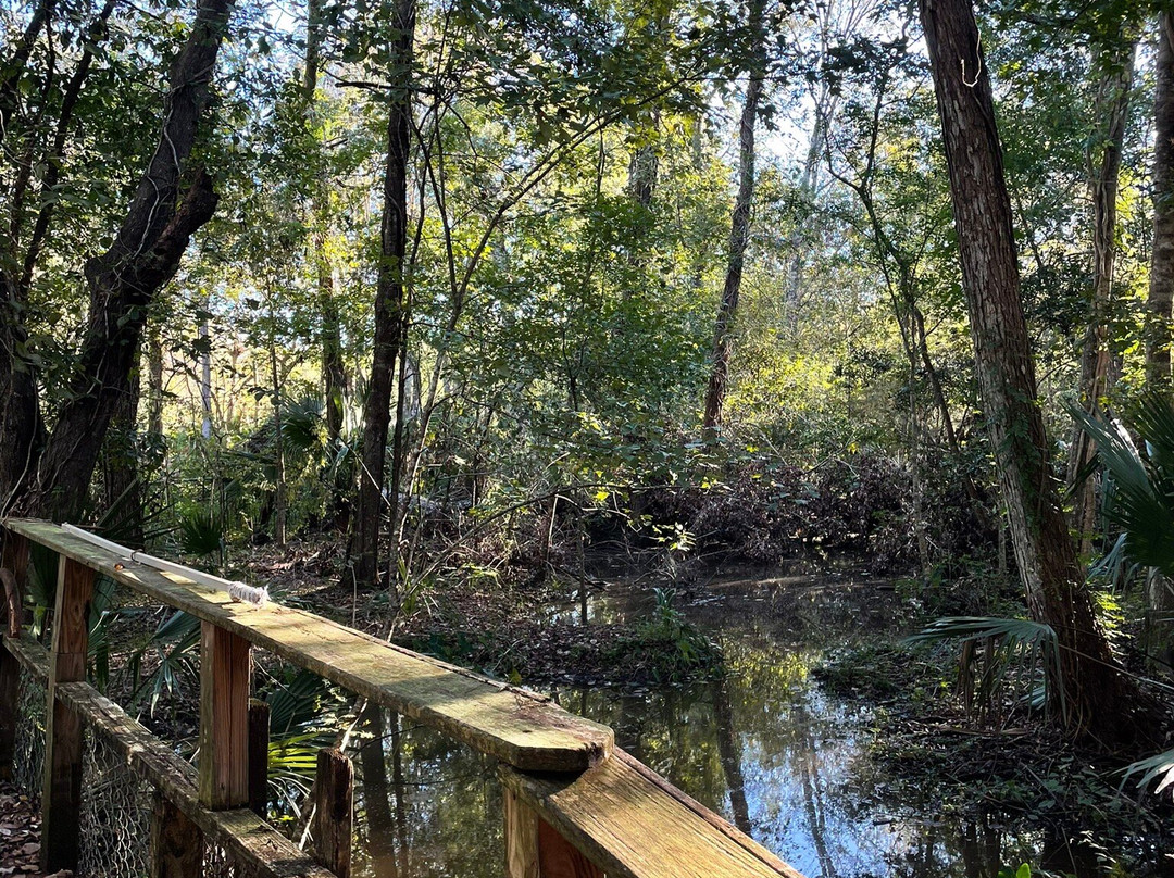 Wildlife Gardens Bed and Breakfast and Swamp Tours主图