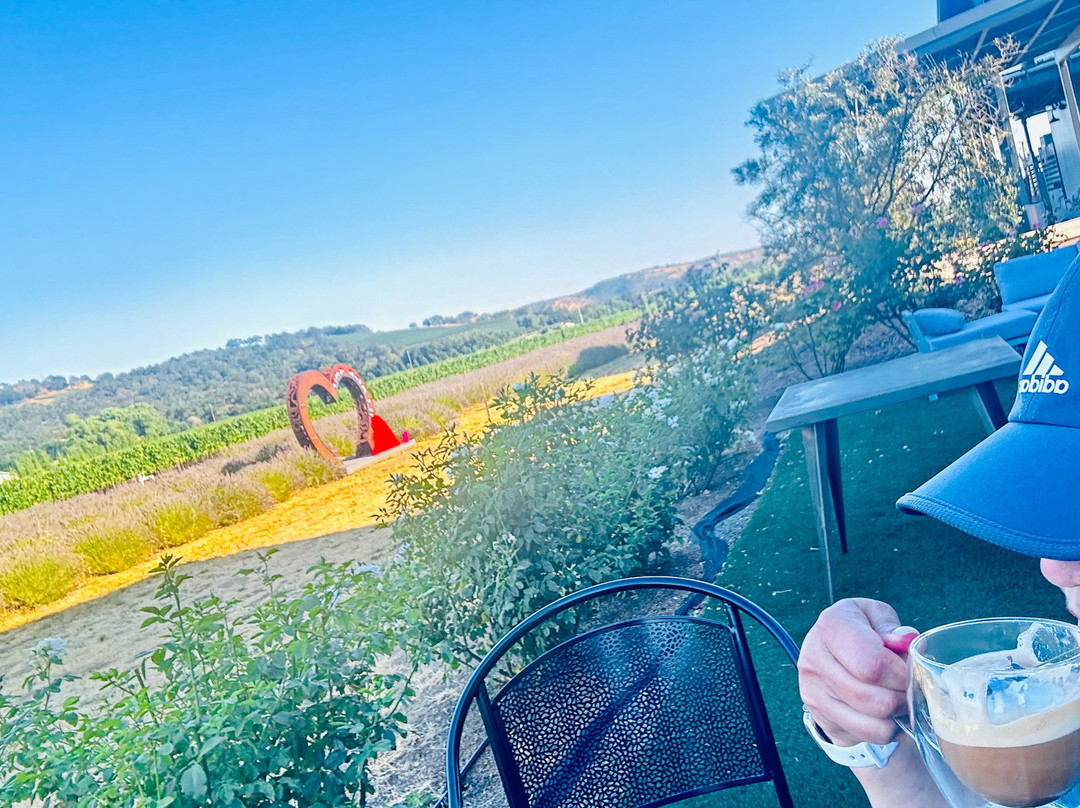 BackRoad Vines-费尔菲尔德必去景点