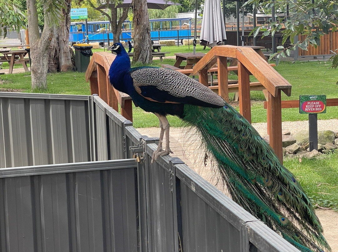 Amazement Farm & Fun Park-怀昂溪必去景点