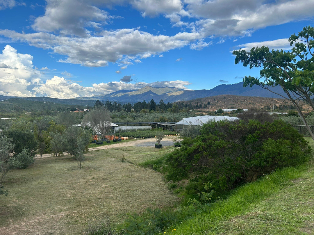Huerto Olivanto-莱瓦镇必去景点