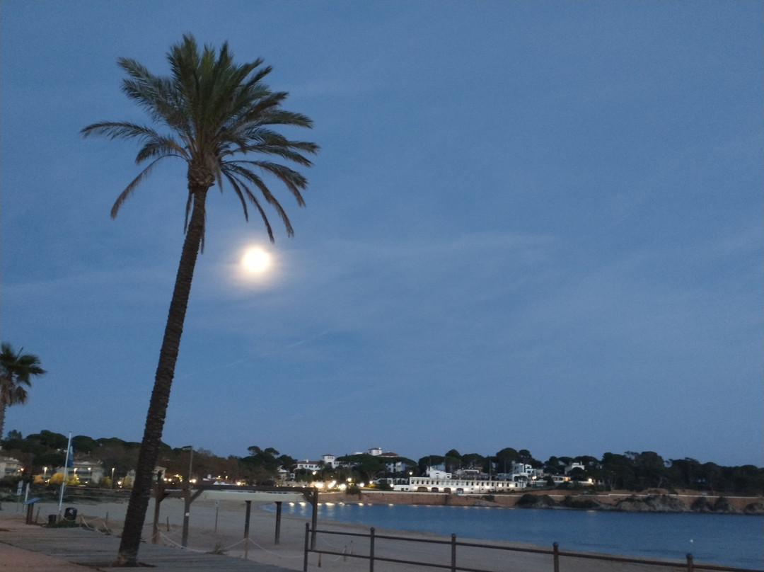 Creative Catalonia - Bike Holidays Girona Spain景点图片