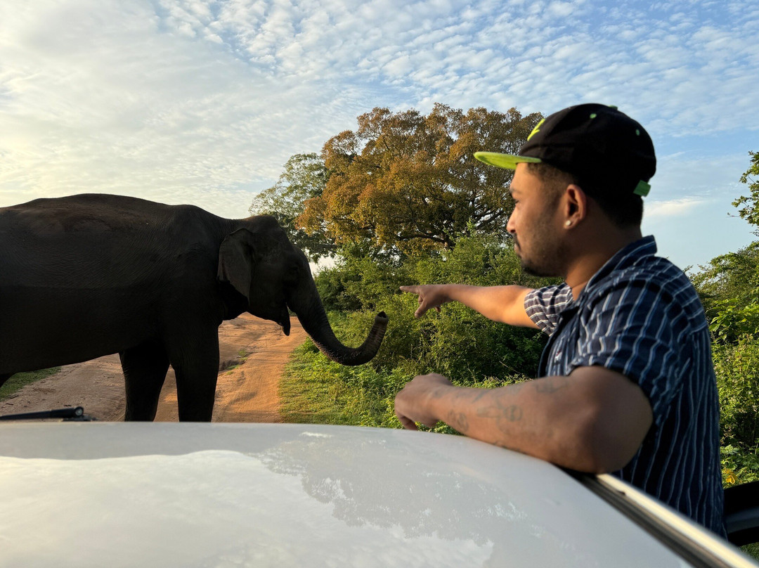 Freedom Safari Udawalawa-乌达瓦拉瓦必去景点