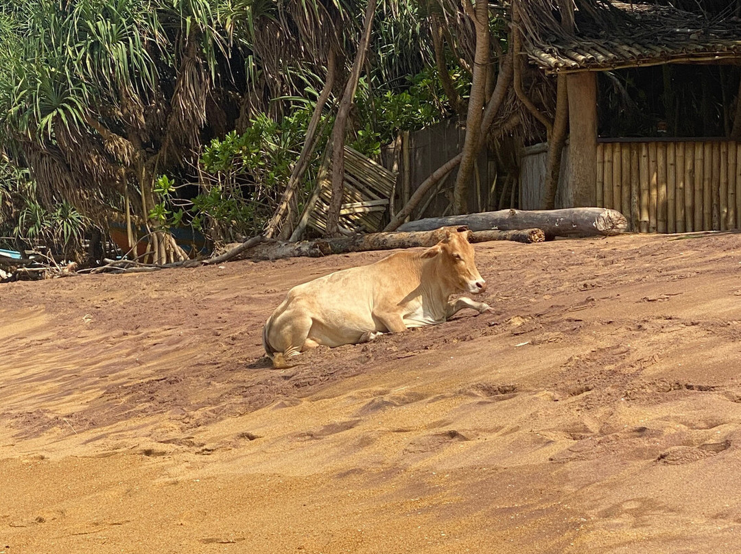 Amith Tours & Travels-班托塔必去景点