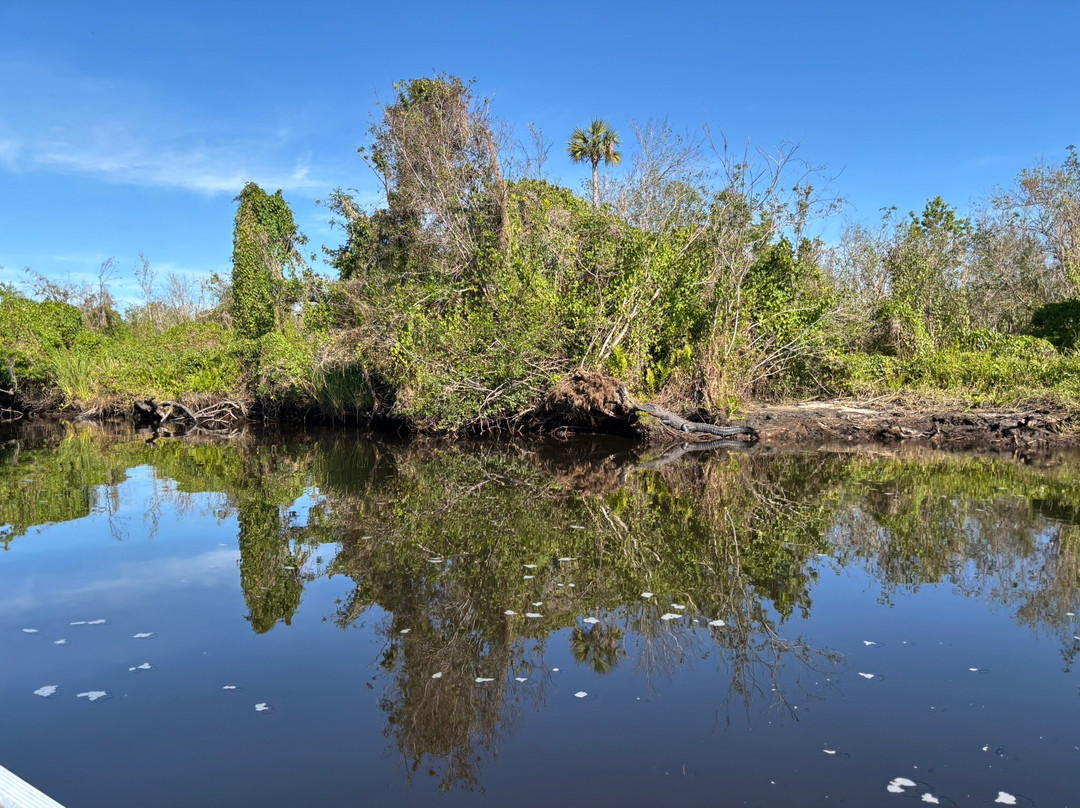 Seminole Wind Airboat tour-阿卡迪亚必去景点