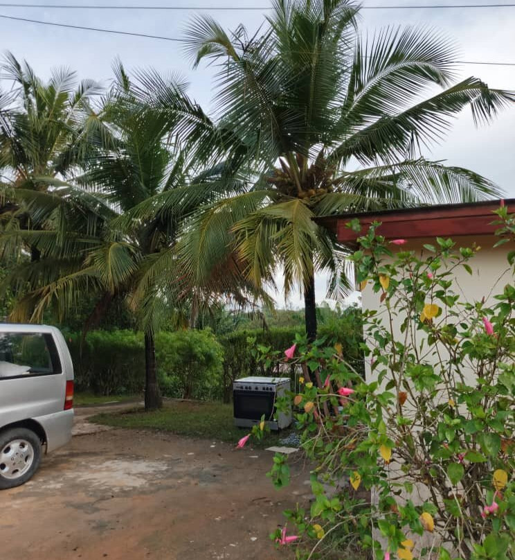 Kokodo Guest House主图