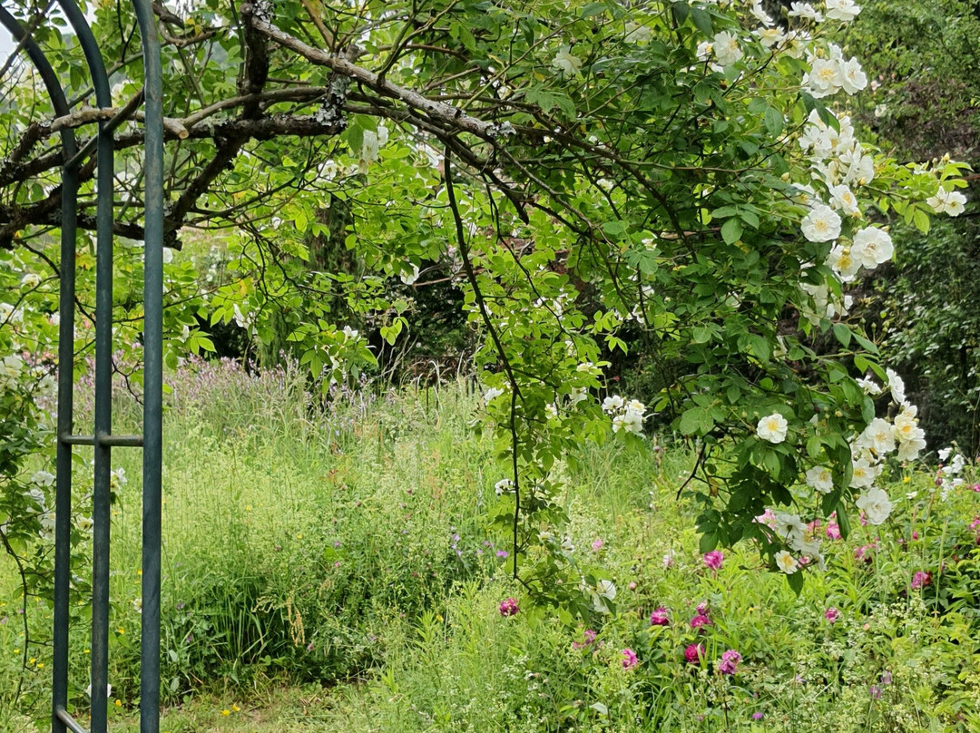 Roseraie De Berty Tauriers-Tauriers必去景点