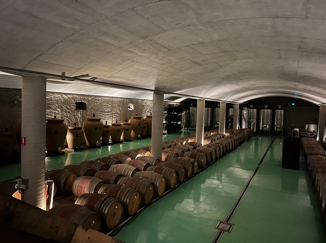Wine Valley Tours景点图片