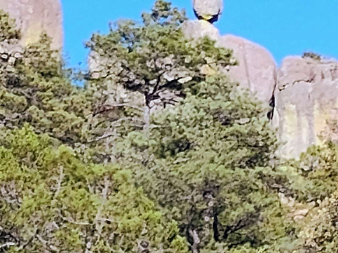 Copper Canyon Adventures-El Fuerte必去景点