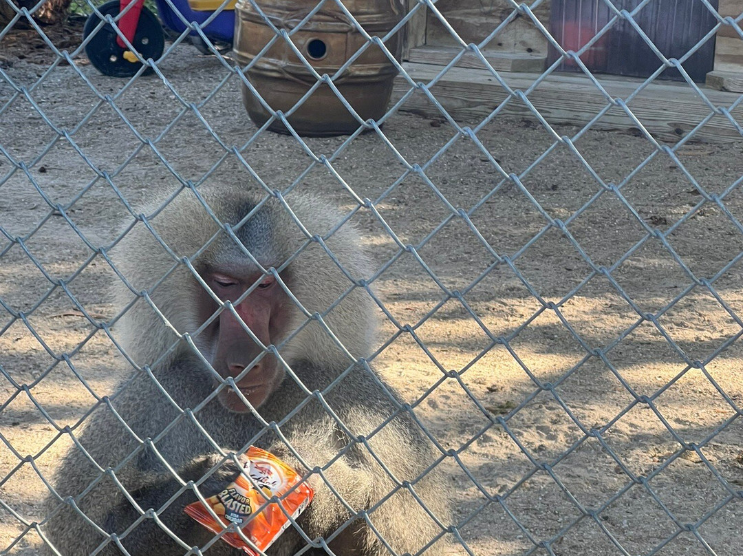 Octagon Wildlife Sanctuary-蓬塔戈尔达必去景点