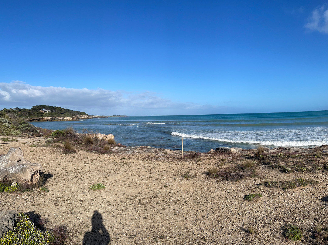 Nora Creina Beach-罗布必去景点