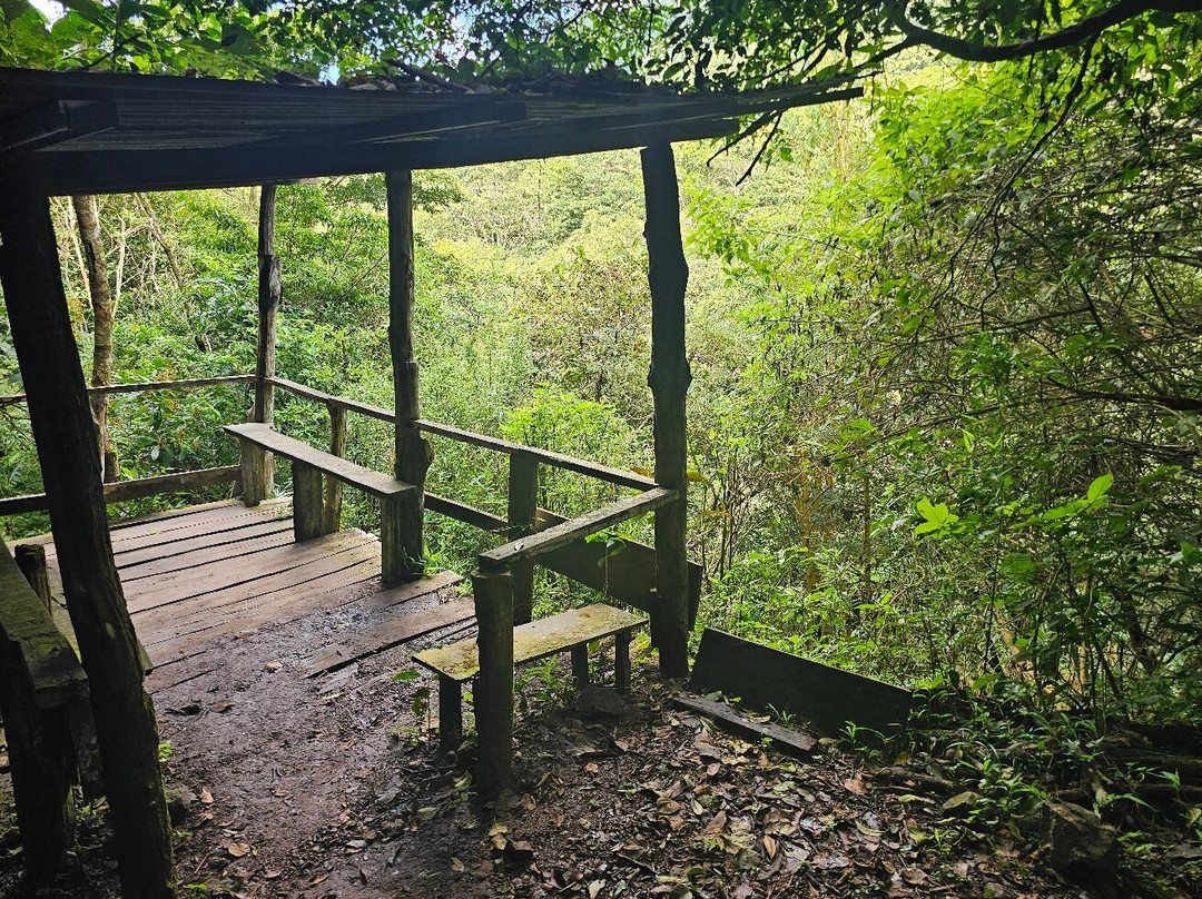 EVACC Foundation - El Valle Amphibian Conservation Center Foundation景点图片