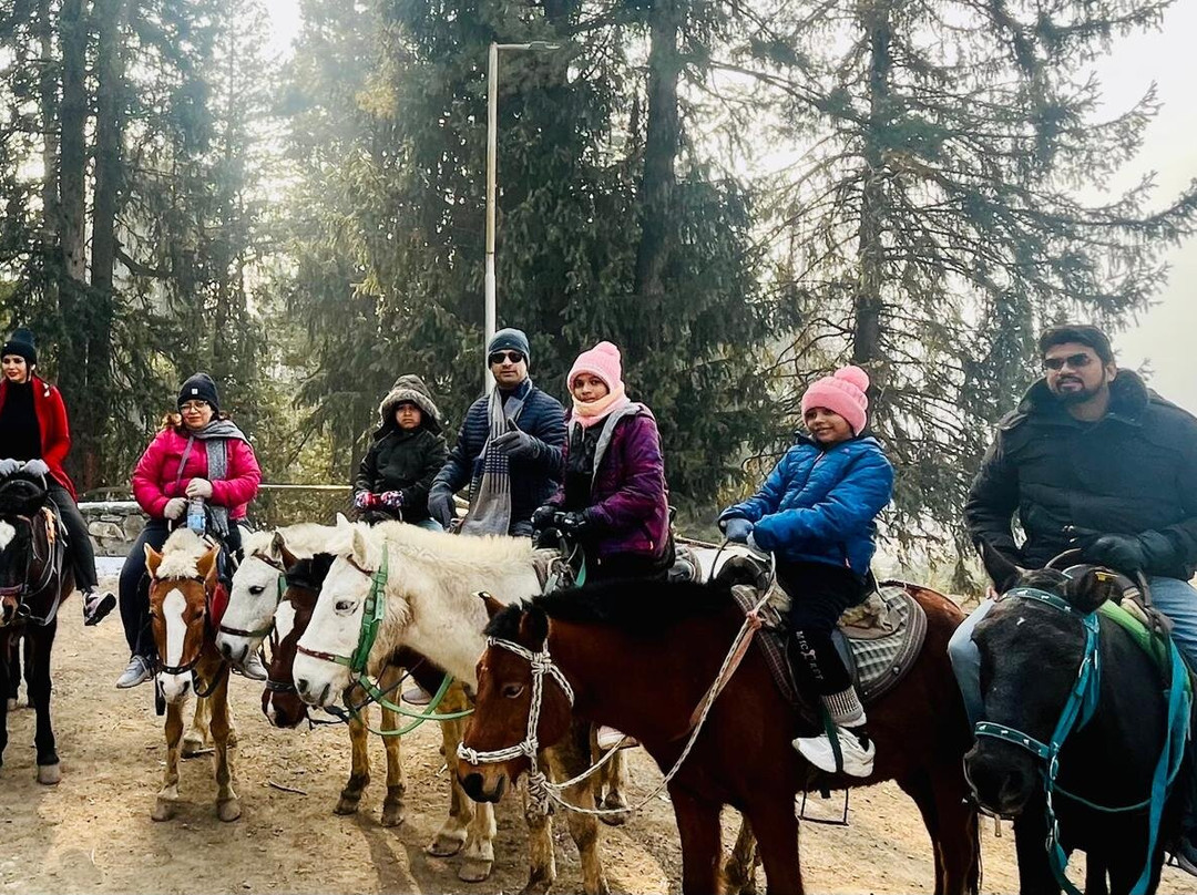 Total Trip Holidays-Sopore必去景点