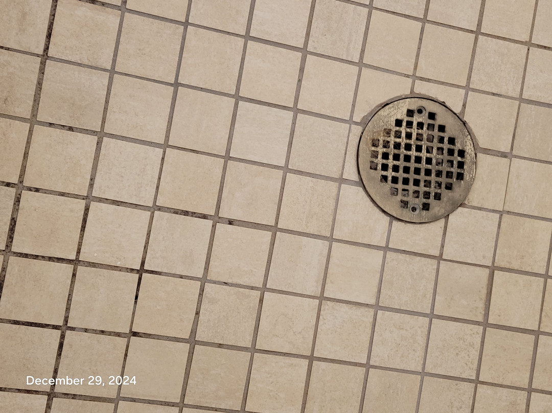 Holiday Inn Express & Suites Jackson Northeast By IHG主图