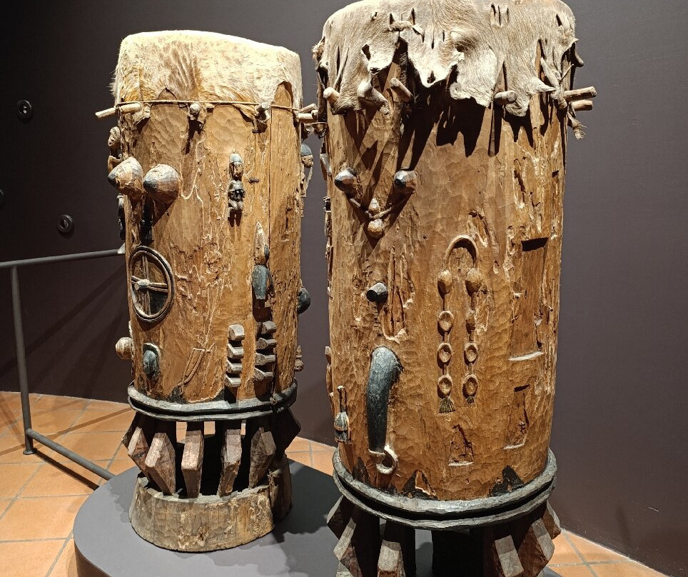 Museo di Scienze Naturali "E. Caffi"景点图片