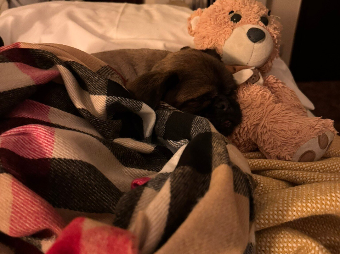 Hotel São Jose主图