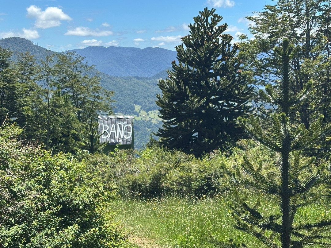 Santuario el Cañi-普孔必去景点
