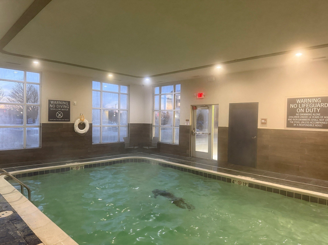 Four Points by Sheraton Elkhart主图