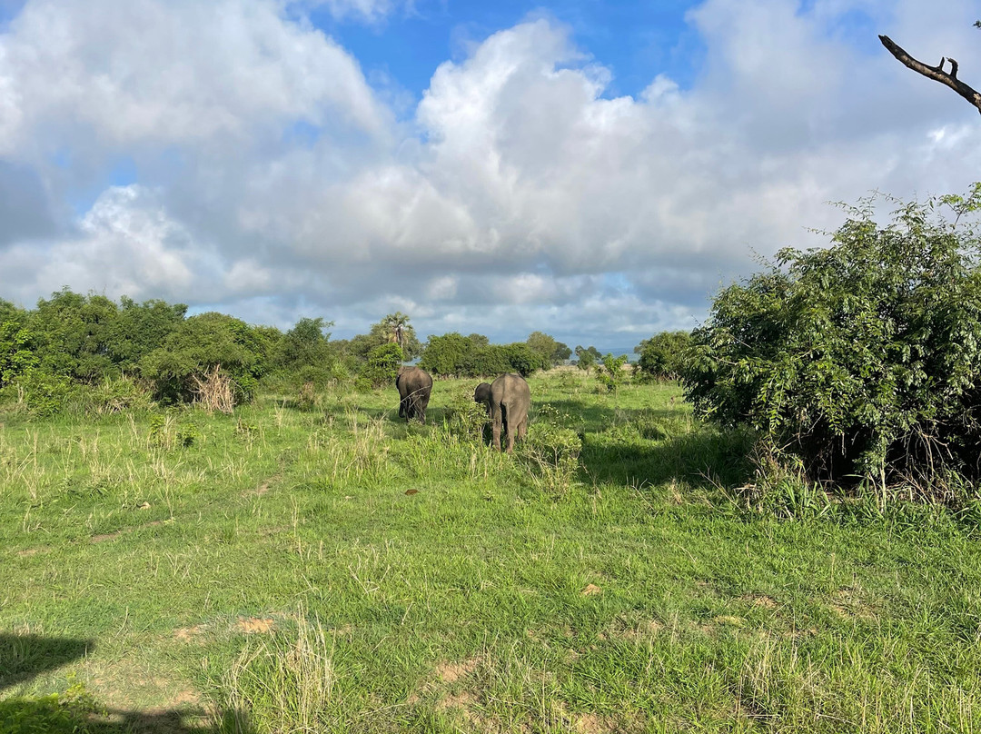 Tanzania Safari Trails Dmc Ltd-Dar es Salaam必去景点