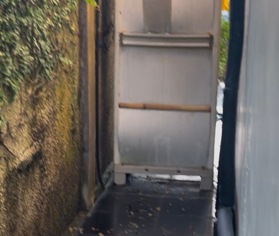 The Ylang Ylang主图