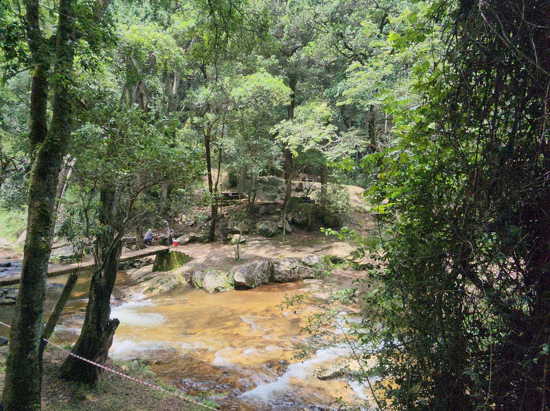 Debengeni Waterfall-参宁必去景点