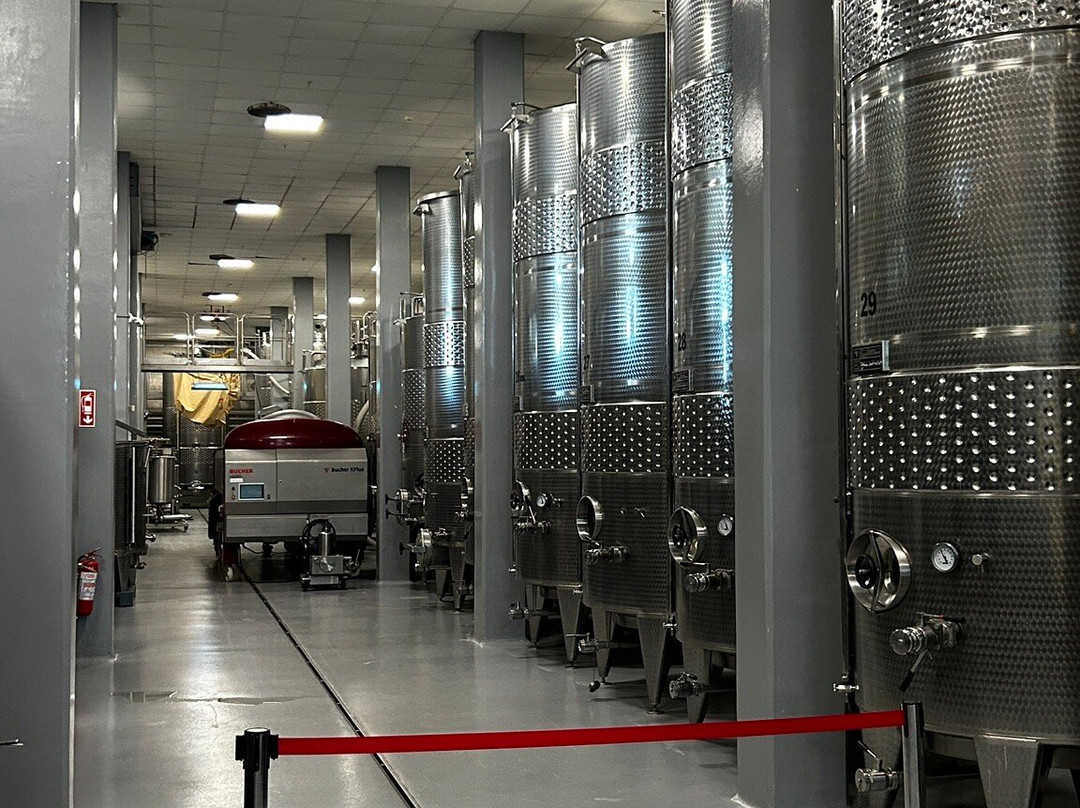 Urla Winery景点图片