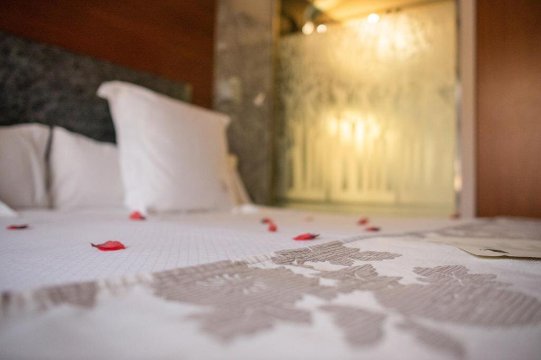 桑可阿巴卡温泉酒店-客卧