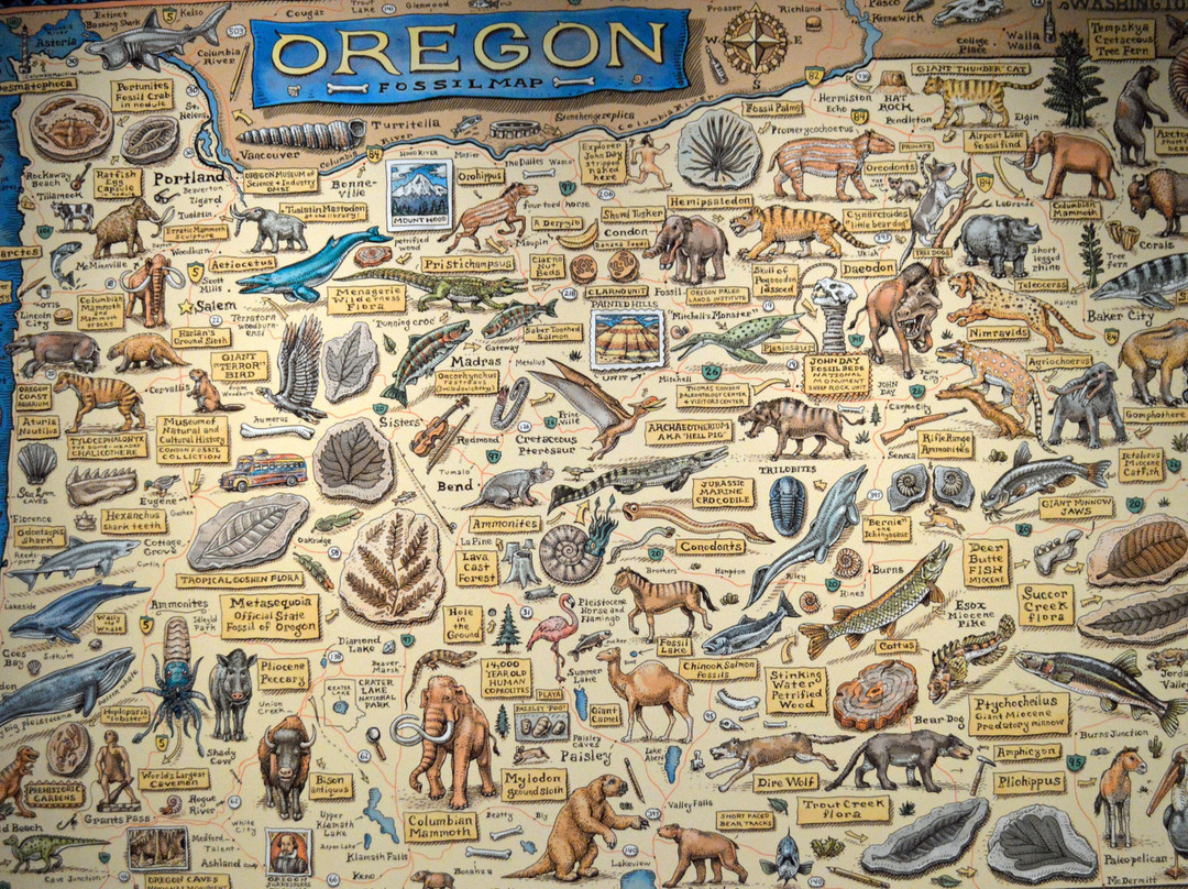 Museum of Natural and Cultural History-尤金必去景点