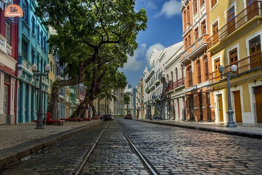 Alex VipTour-累西腓必去景点