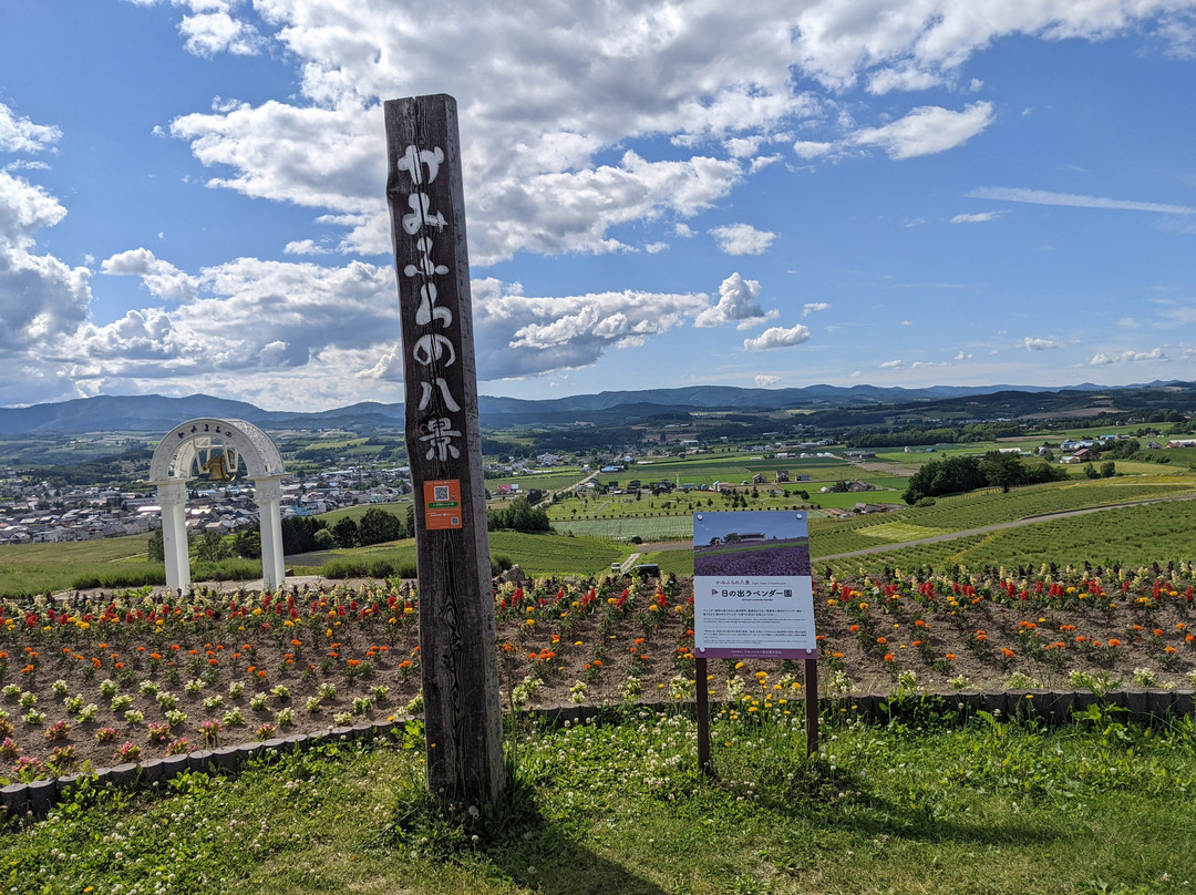 Hinode Lavender Garden-上富良野町必去景点