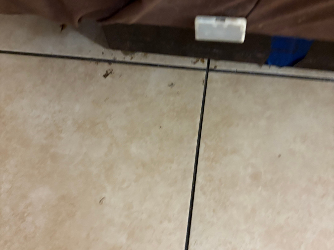 Countryside Inn & Suites主图