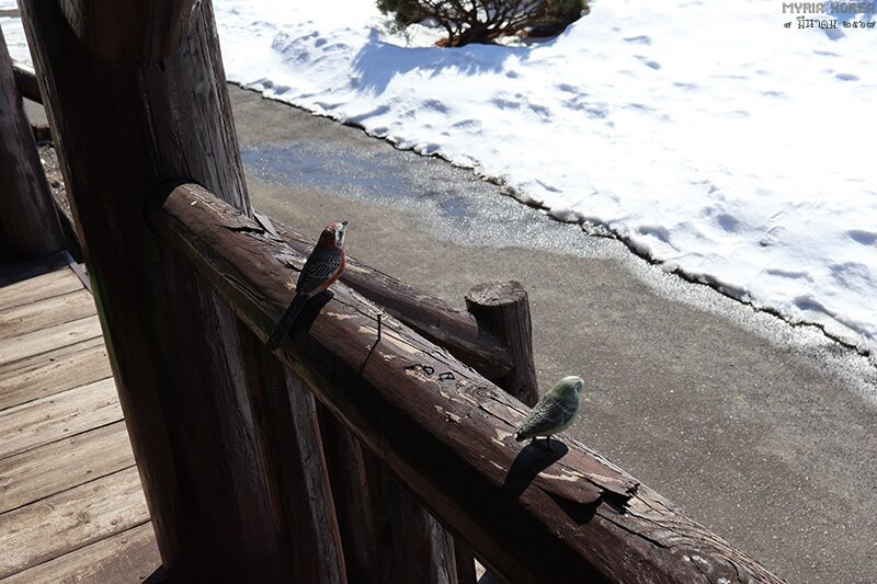 Showa Shinzan Park Service Center-壮瞥町必去景点