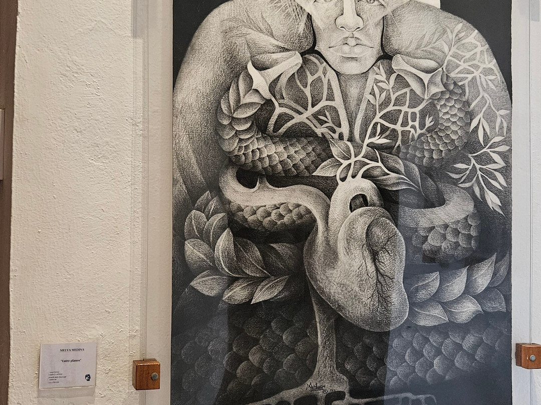 Nahualli Casa De Los Artistas-梅里达必去景点