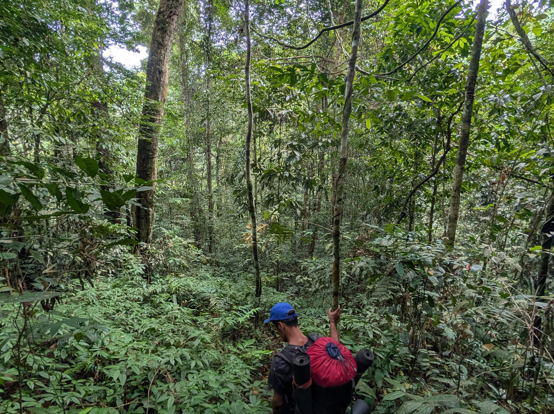Simolap Wild Adventures-武吉拉旺必去景点