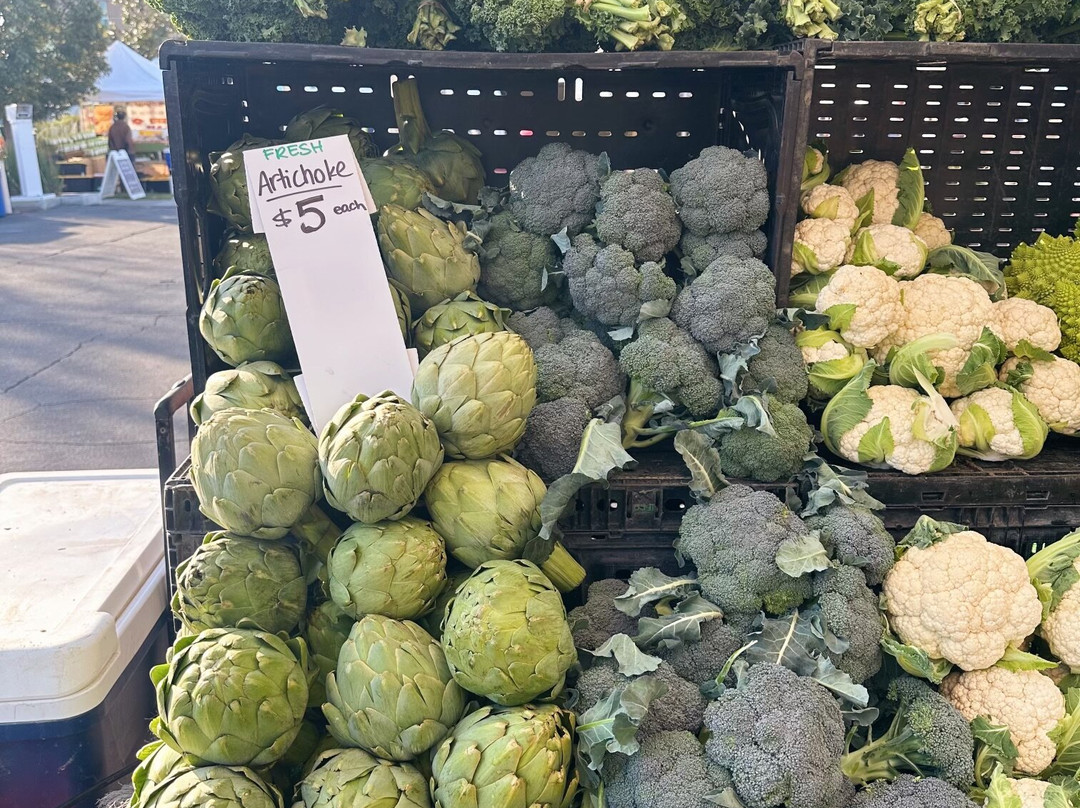 Orange Home Grown Farmers & Artisans Market-橘子郡必去景点