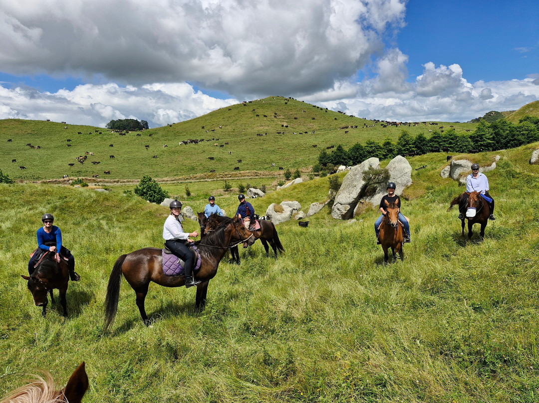 Stone Hill Horse Trek景点图片