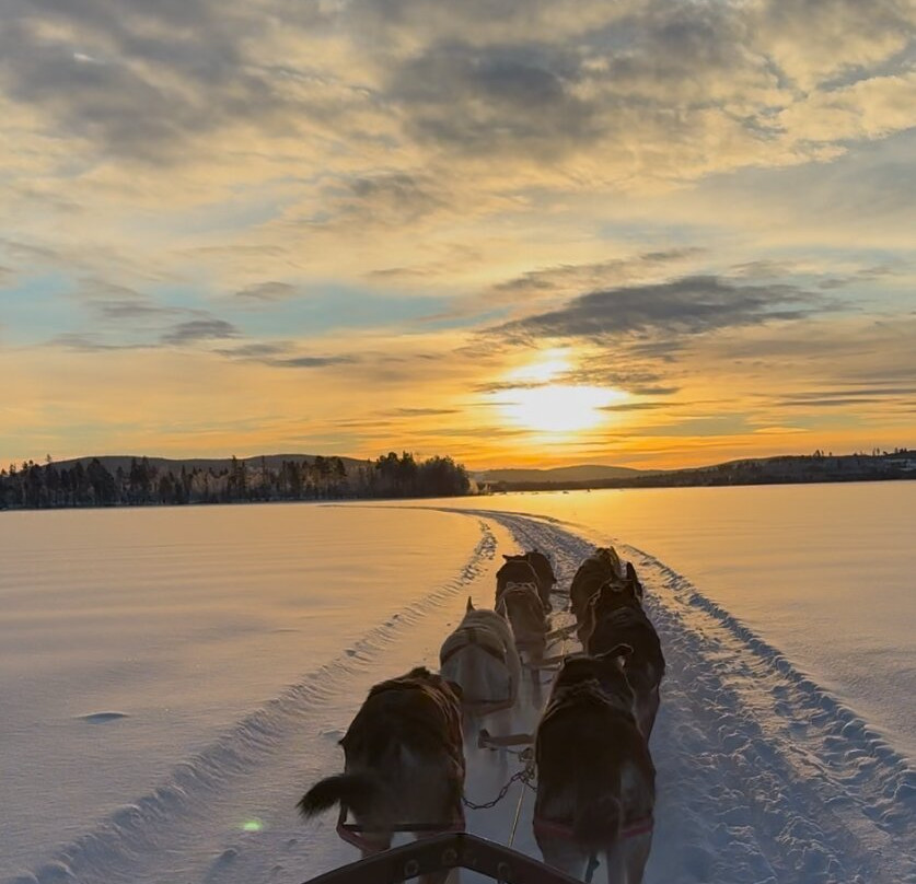 Wild Lapland-Rusktrask必去景点