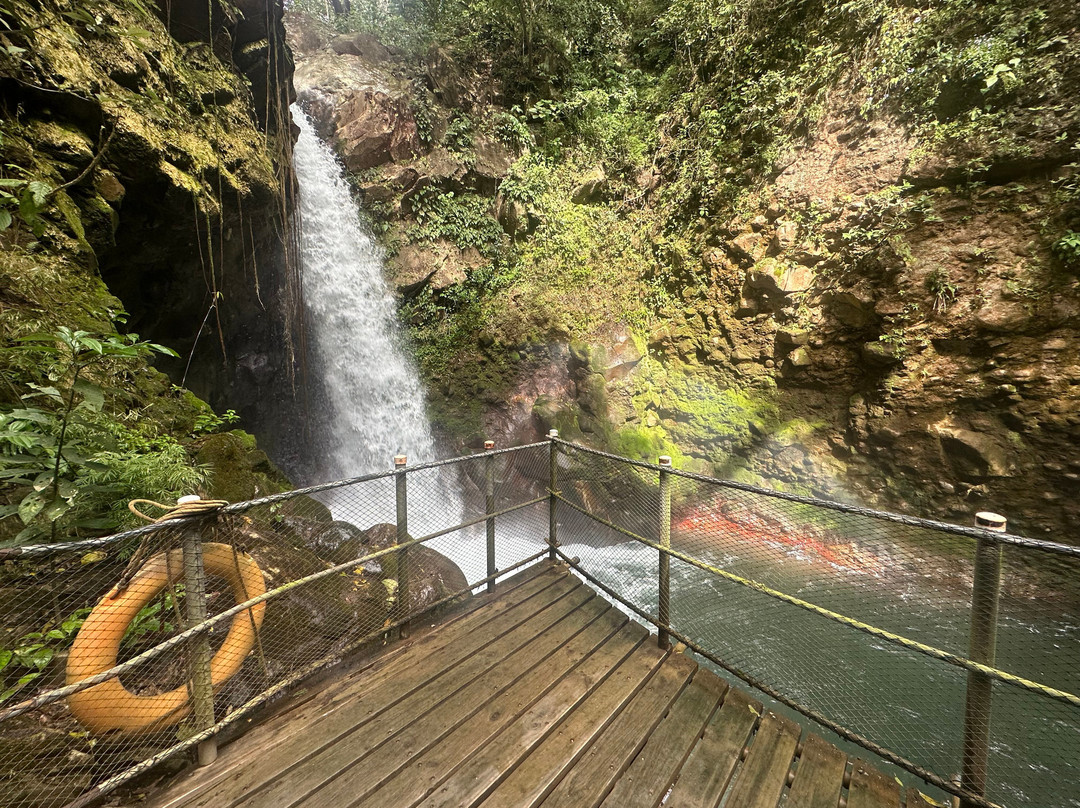Rincon De La Vieja Volcano景点图片