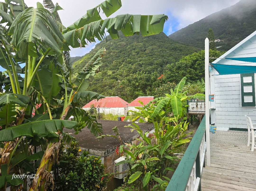 Windwardside-Windwardside必去景点