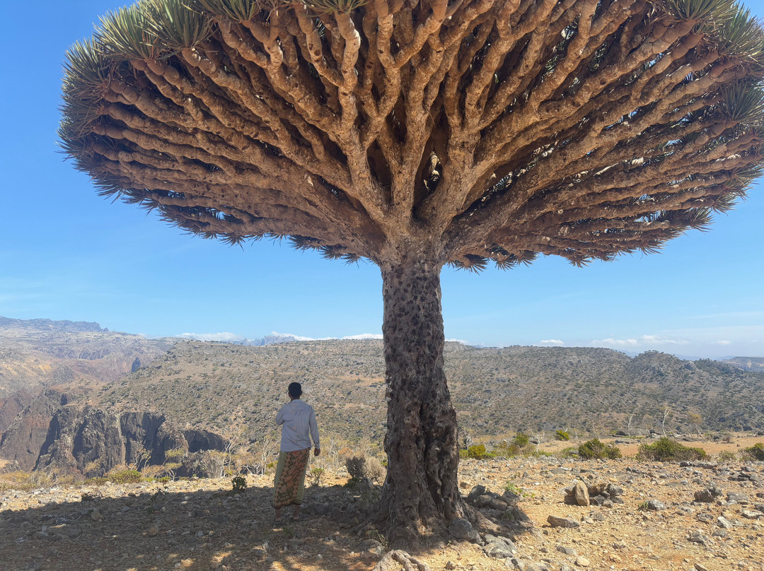 Traveling  Socotra-索科特拉岛必去景点