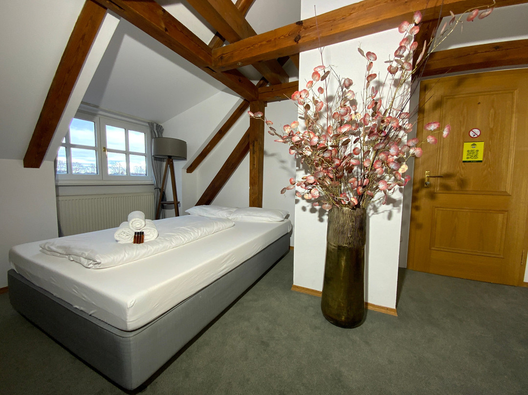 Alter Wirt Hotel主图