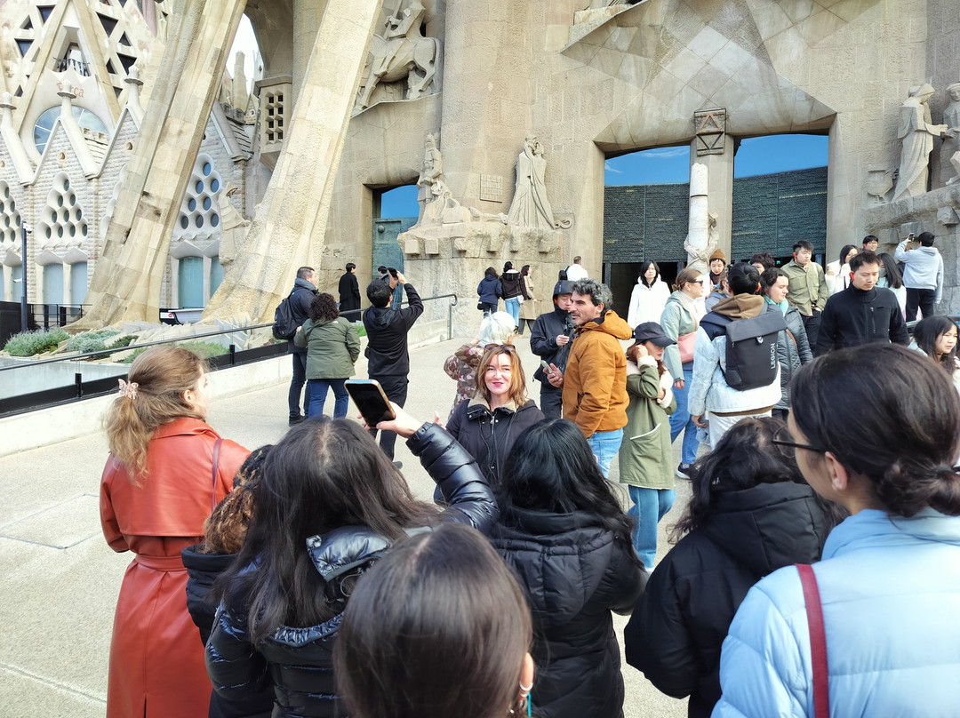Live Barcelona Tours景点图片