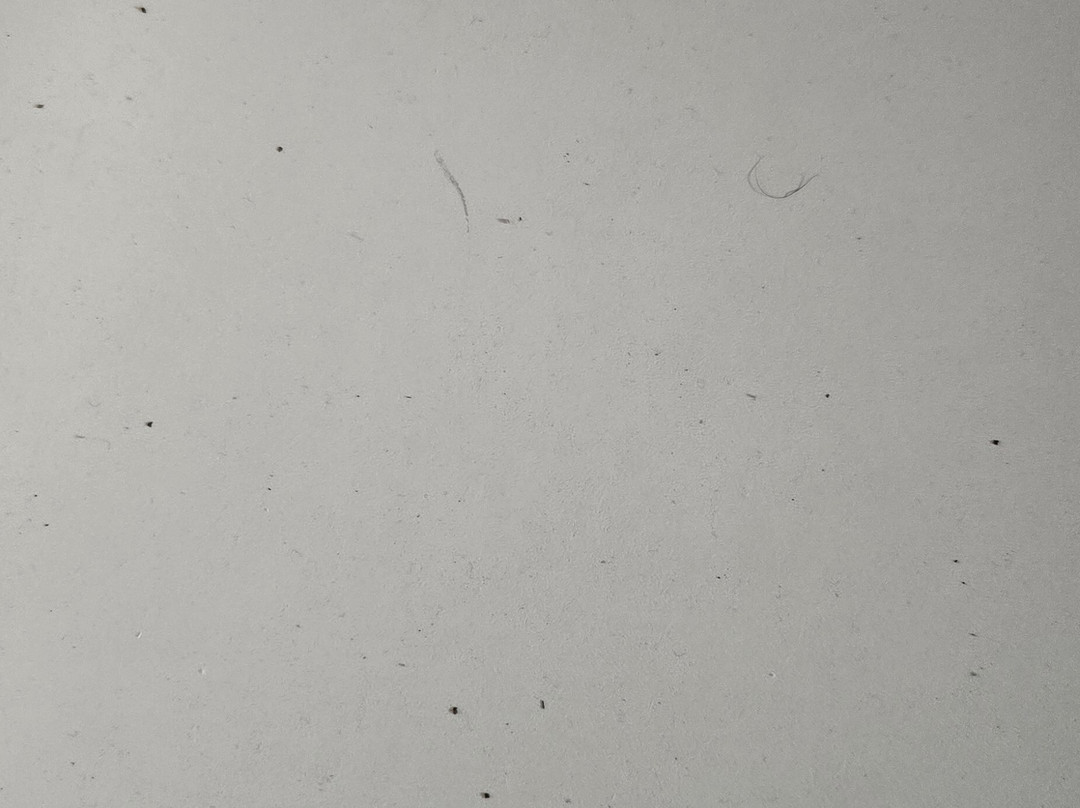 La Quinta Inn & Suites by Wyndham Paducah主图