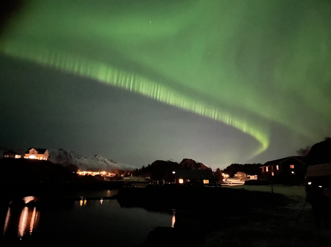 Lofoten Aktiv景点图片
