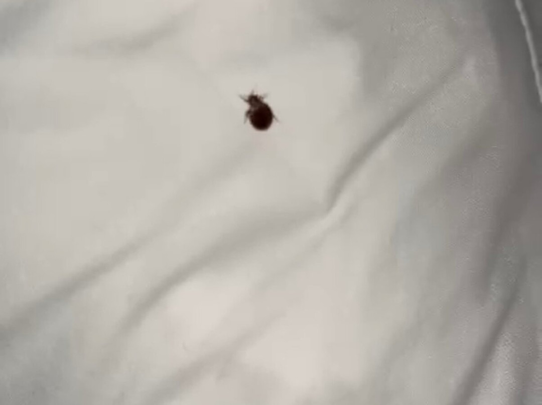 Hampton Inn & Suites by Hilton Thunder Bay主图