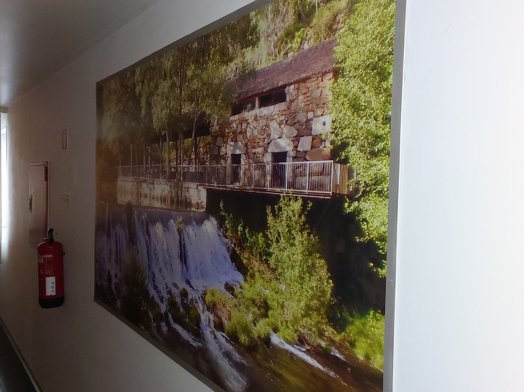 Hotel de Cerva主图