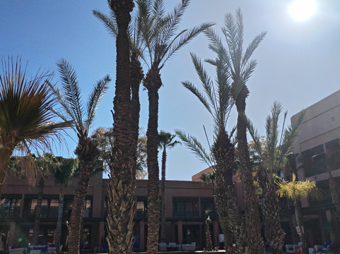 Golf Club Palmeraie-马拉喀什必去景点