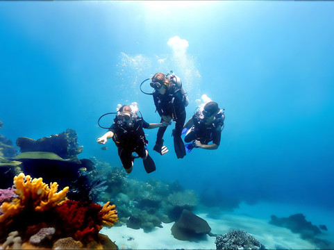 No Fear Diving Amed, Bali-艾湄湾必去景点