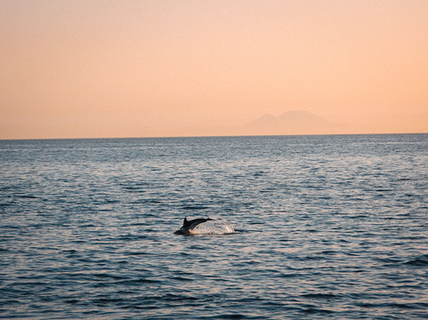 Boat Charter La Duquesa-马尼尔瓦必去景点