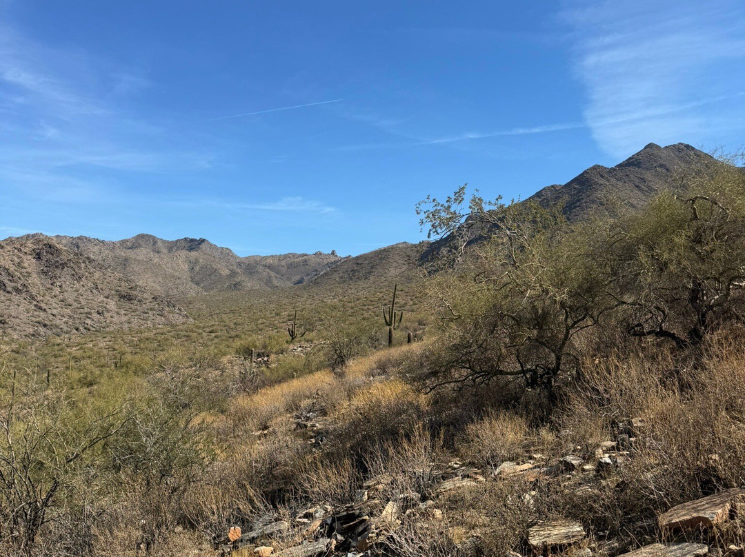 McDowell Sonoran Preserve-斯科茨代尔必去景点